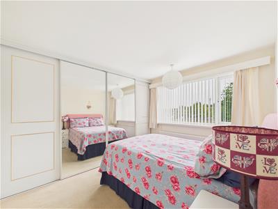 Picture 17